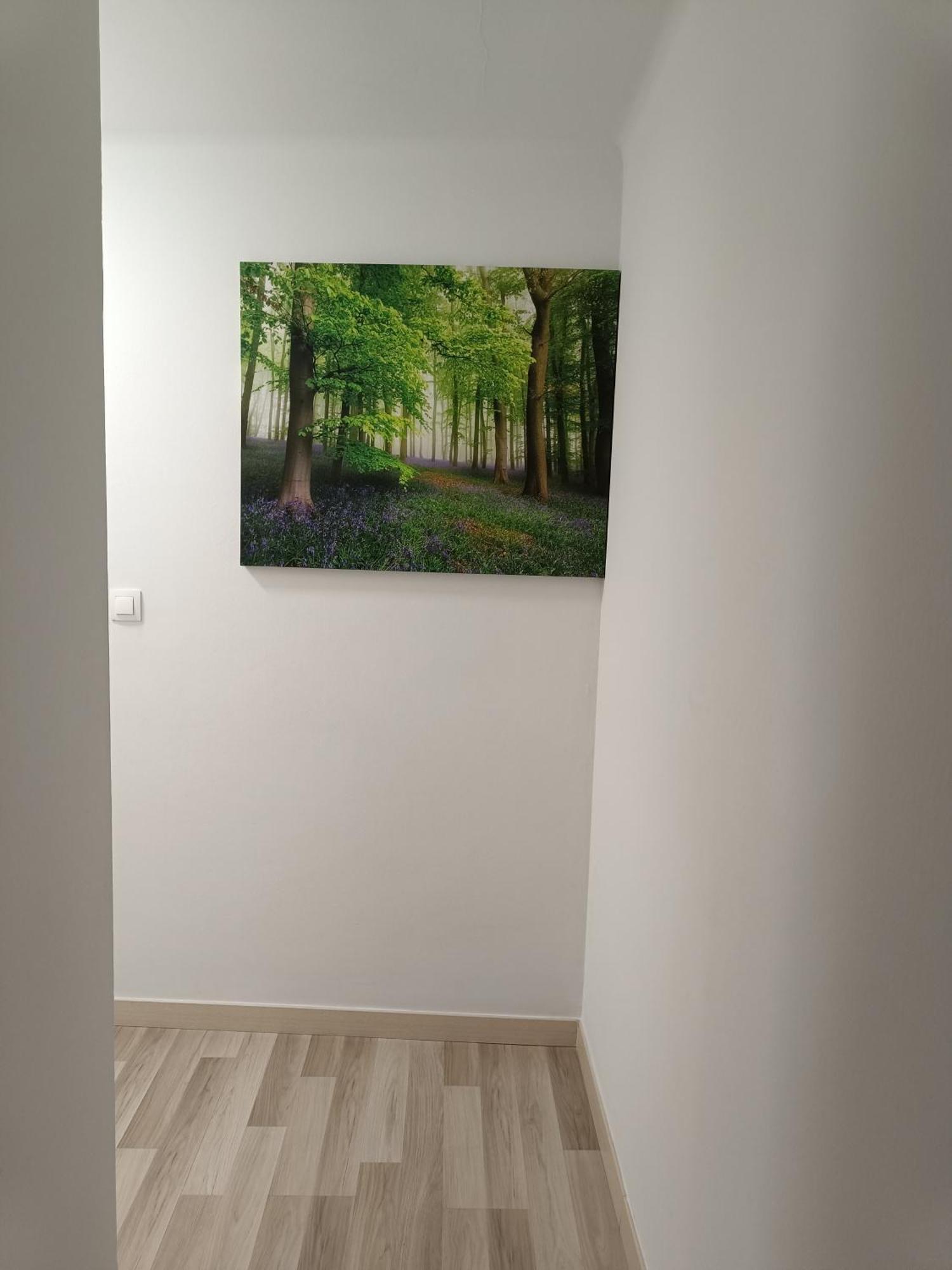 Apartment Confort I La Seu d'Urgell